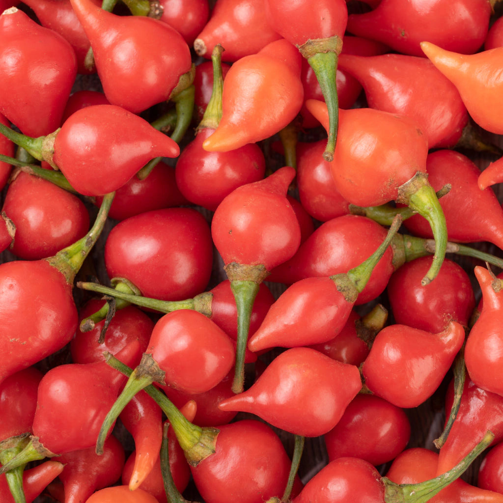 Pimenta Biquinho Em Conserva Premium Grutzmacher 240g