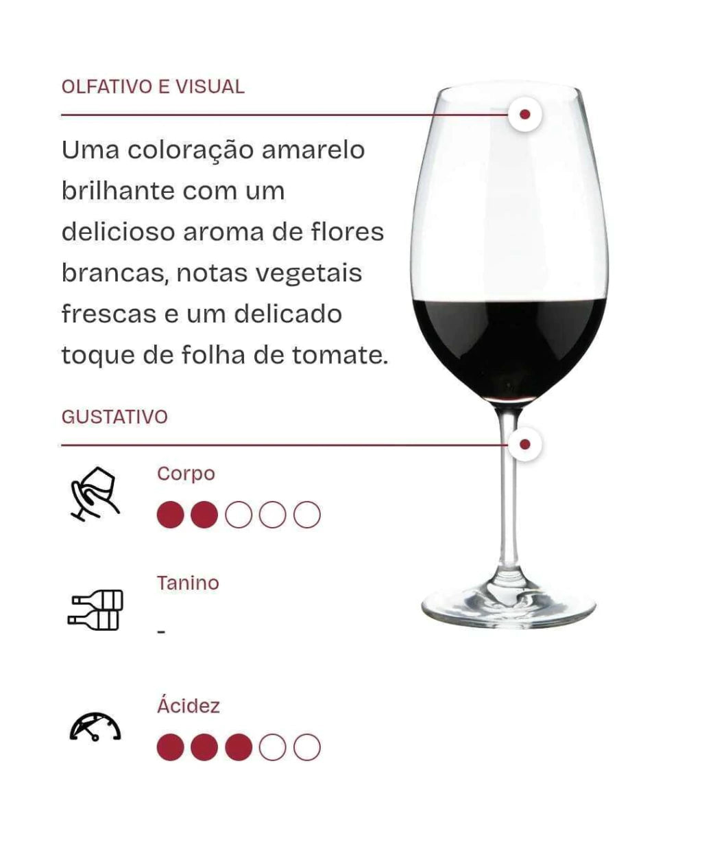 Vinho Tinto Fino Dinamo Cabernet Sauvignon 750ml