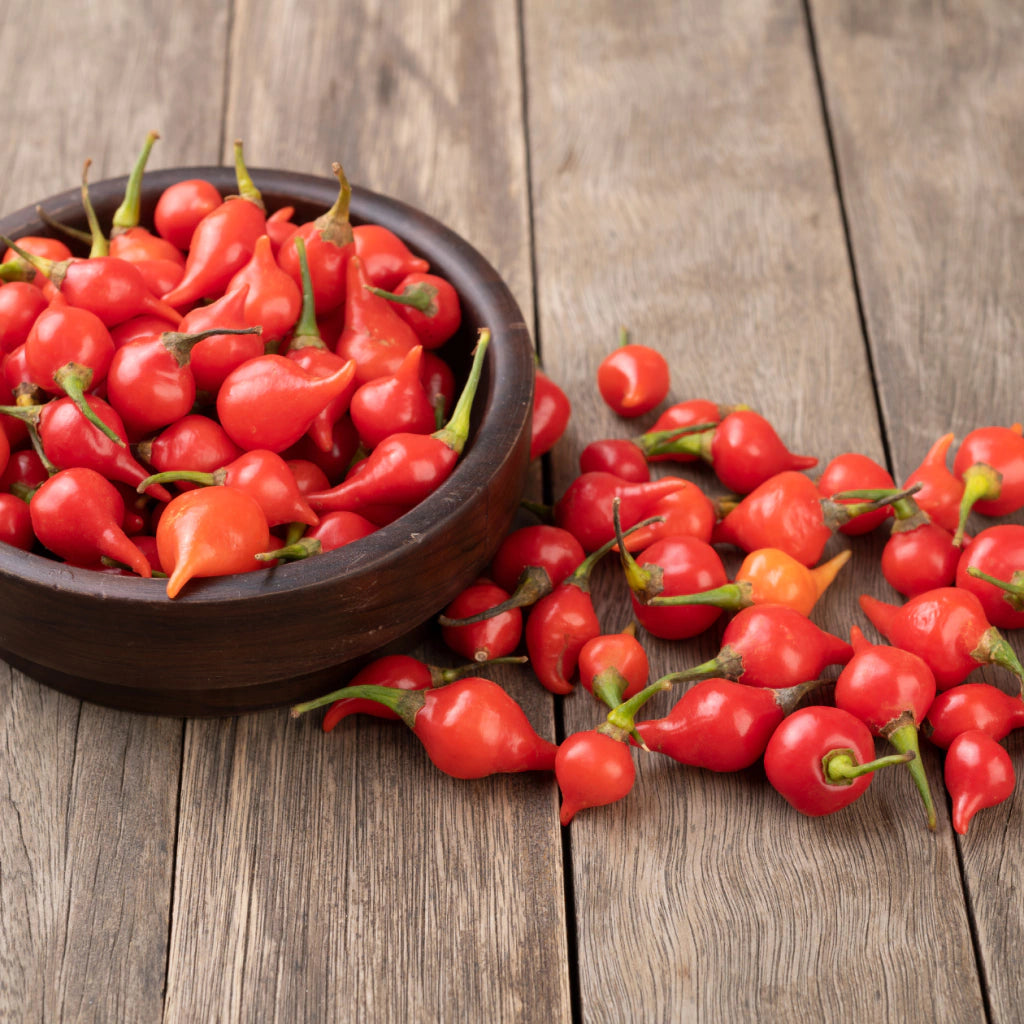 Pimenta Biquinho Em Conserva Premium Grutzmacher 240g