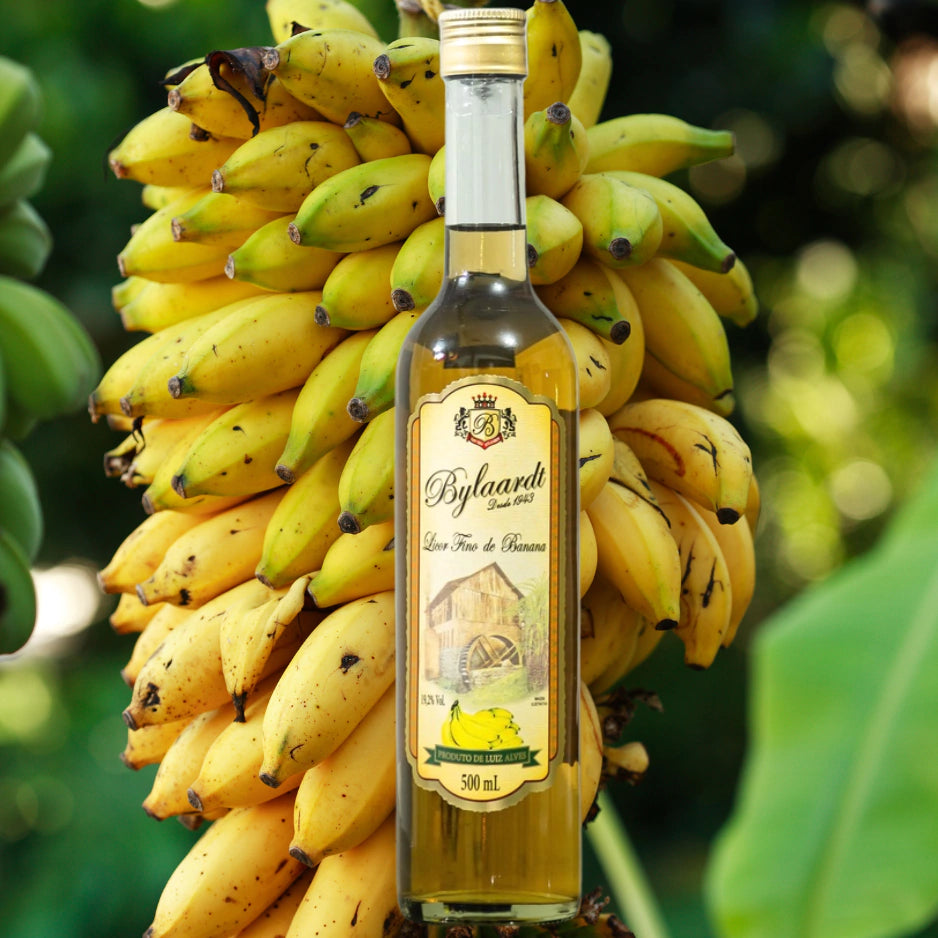 Licor Bylaardt – Tradição e Sabor Direto da Terra da Cachaça