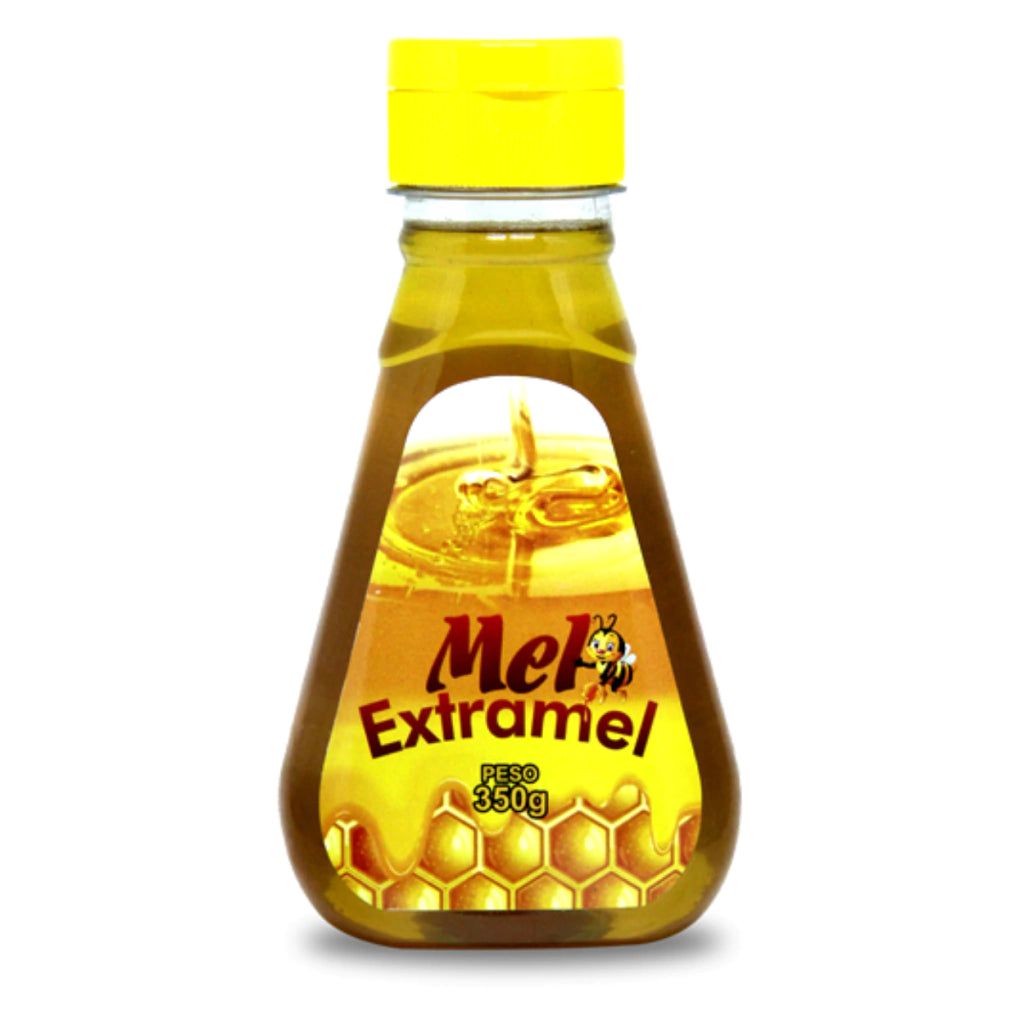 Mel Puro De Abelha Florada Silvestre Bisnaga 350g