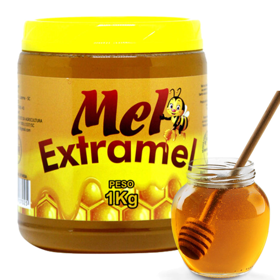 Mel Puro De Abelha Florada Silvestre Pote 1 Kg
