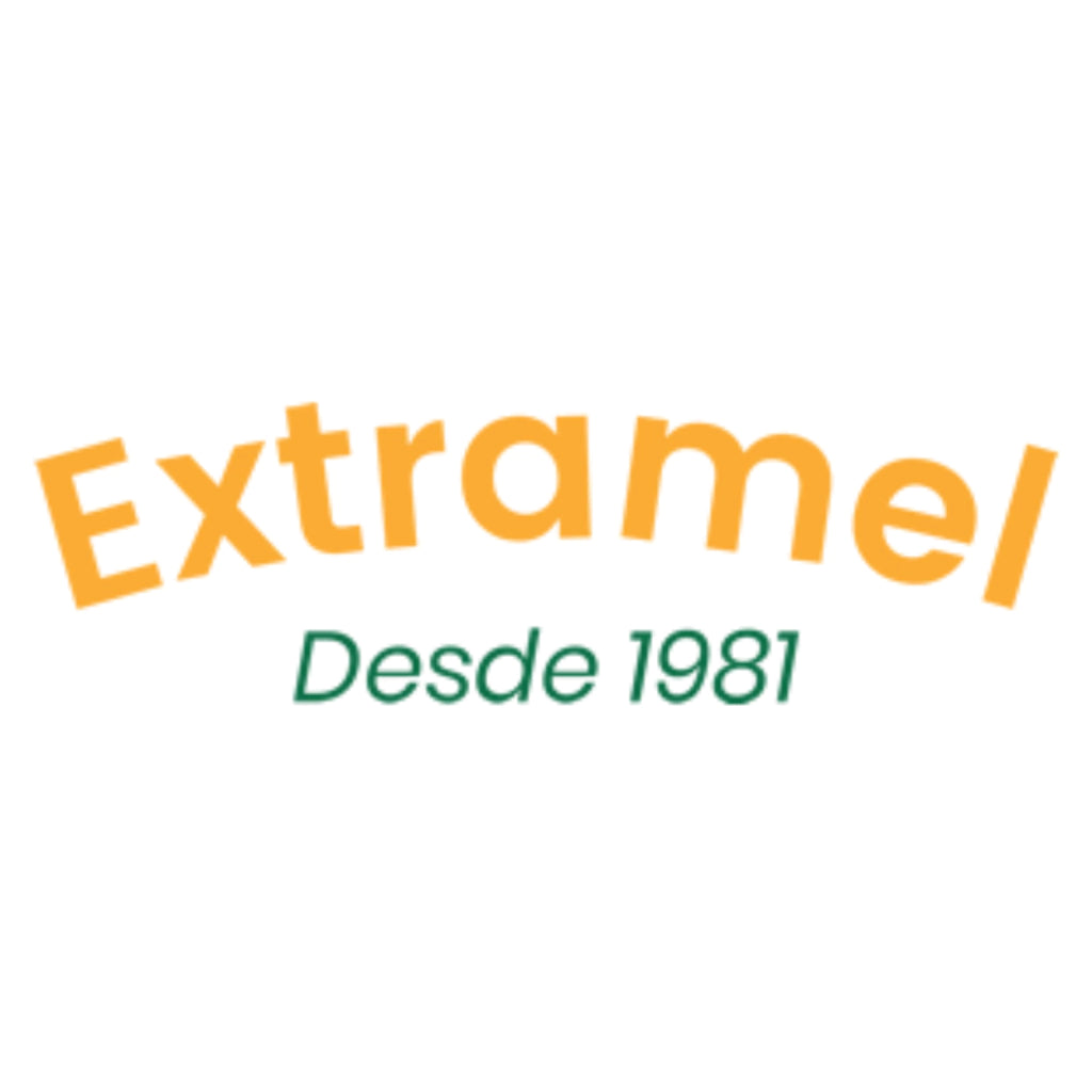Mel Puro De Abelha Florada Silvestre Bisnaga 350g