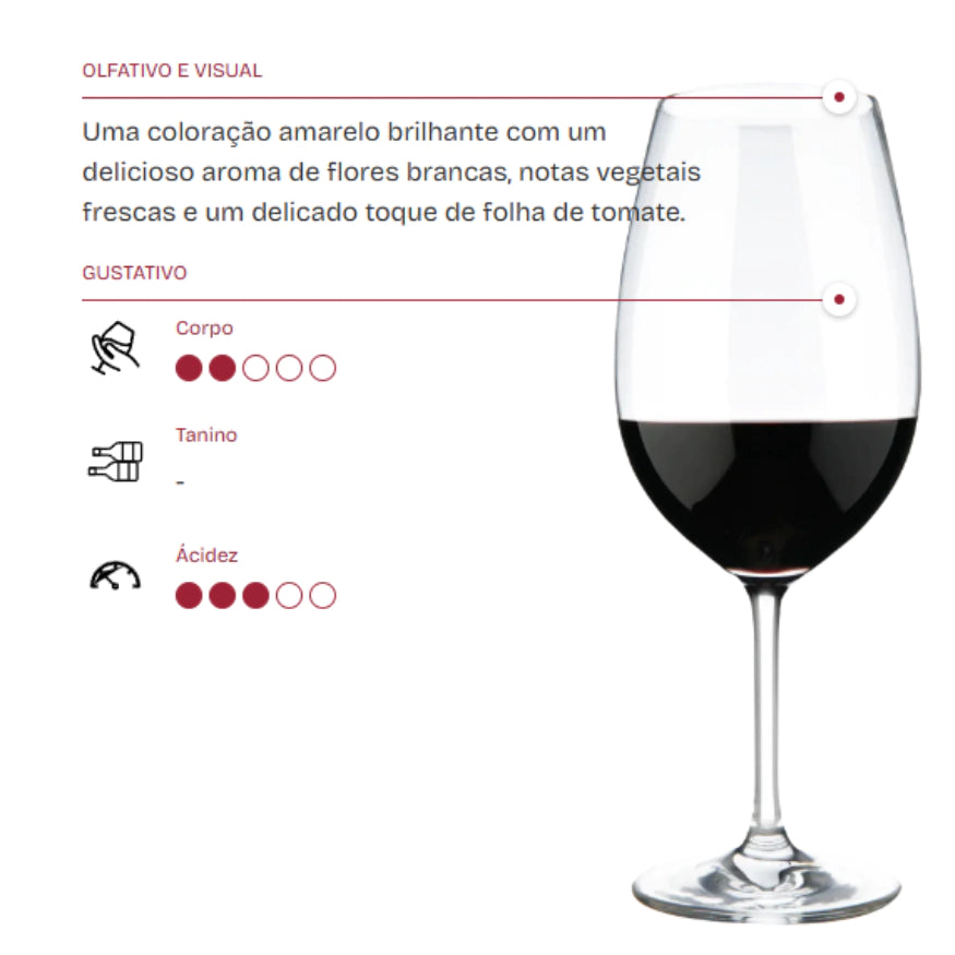 Vinho Fino Português Bons Ventos Tinto 750ml