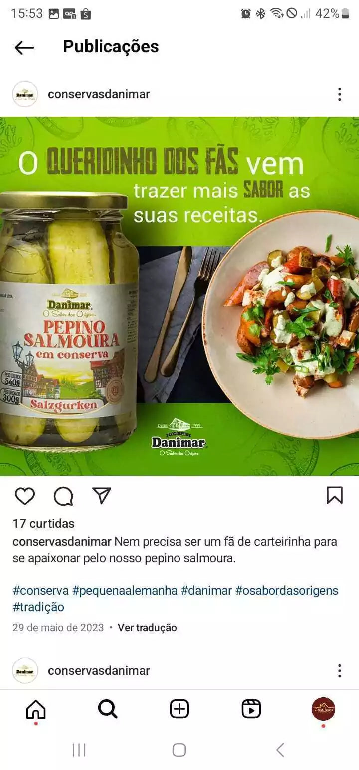 Pepino Salmoura Conserva Salzgurken Danimar Receita Alemã