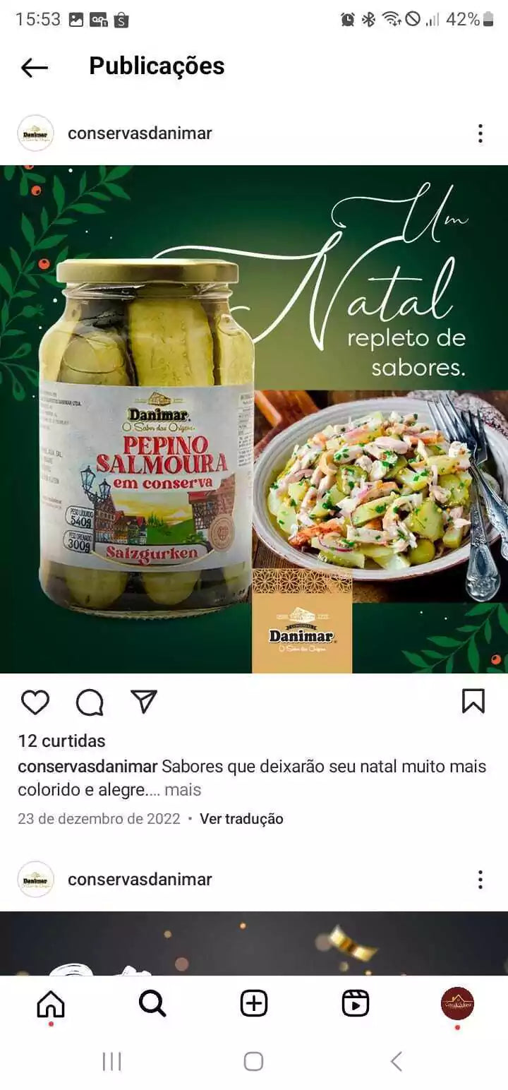 Pepino Salmoura Conserva Salzgurken Danimar Receita Alemã